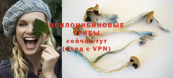 кристаллы Козловка