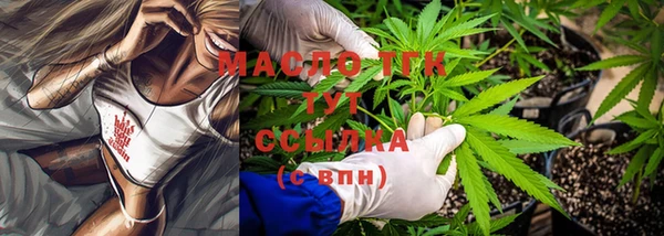 дживик Богородск