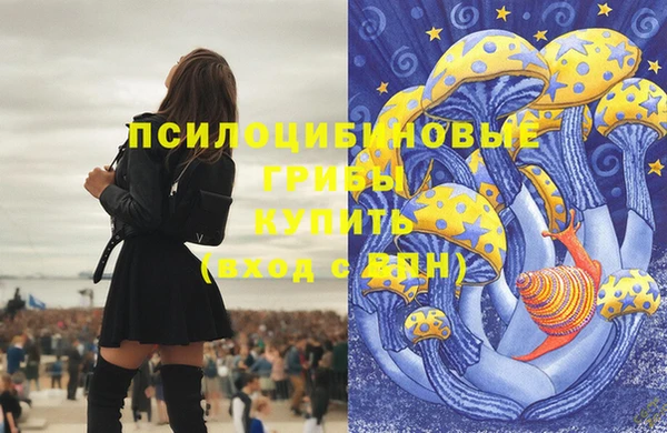 герыч Гусь-Хрустальный